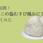コンビニ風塩むすび